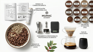 MUMAC Academy Chile: El Destino Definitivo para la Excelencia Barista