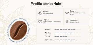Caffè in Grani Hausbrandt Gourmet 1 Kg