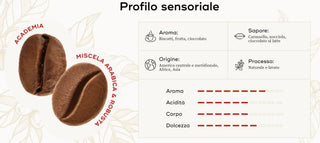 Cialde Hausbrandt Academia 144 capsule