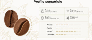 Capsule Caffè Hausbrandt Espresso 10 unità