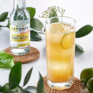 Artonic Indian Organic Tonic Water 200 ml