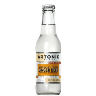 Artonic Ginger Beer Water 200 ml